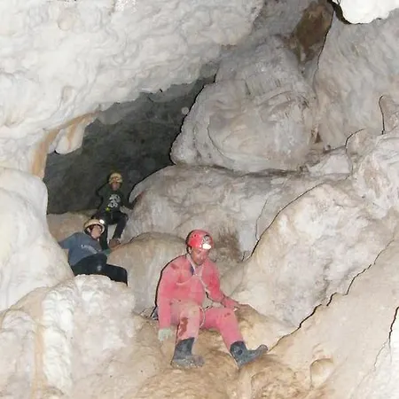 Les Mimosas Holiday home *